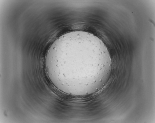 X0000097980171200803241050