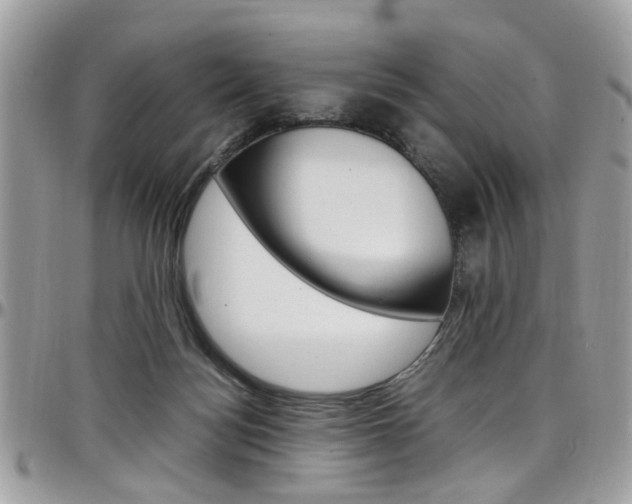 X0000097980172200803241050