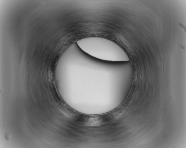 X0000097980173200803241050