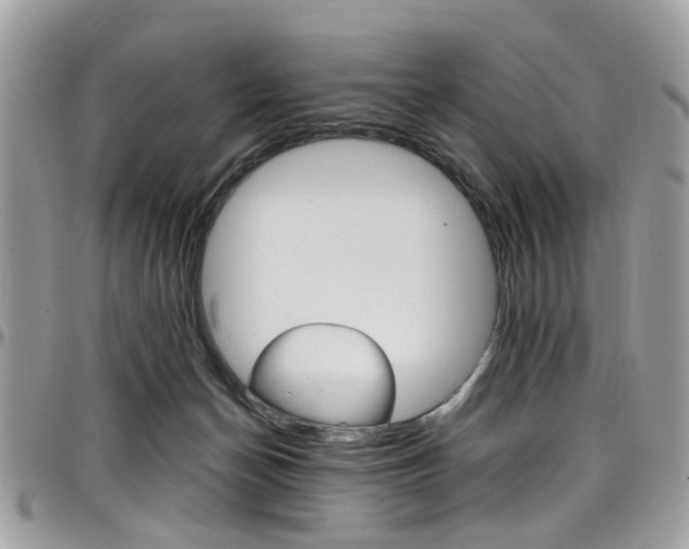 X0000097980174200803241050