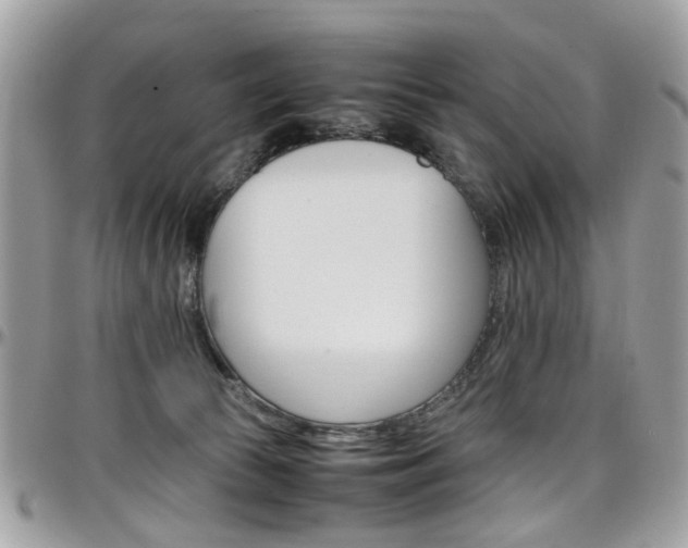 X0000097980177200803241050