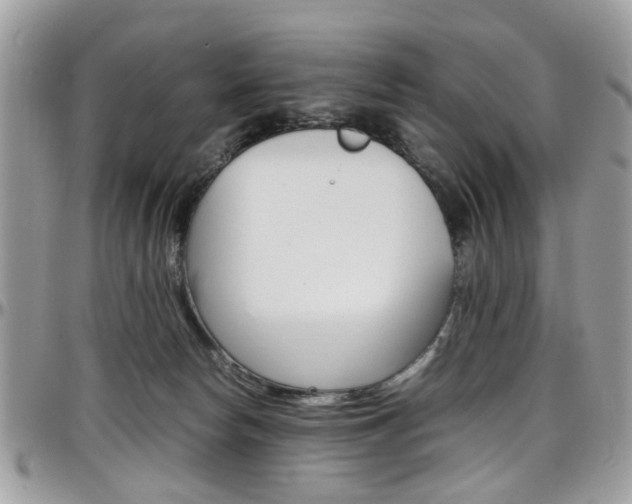 X0000097980178200803241050