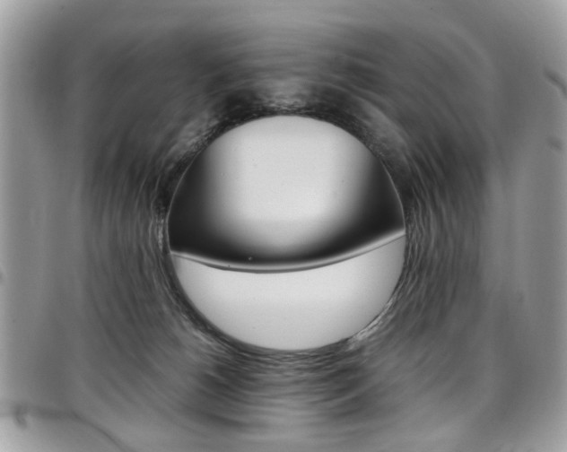 X0000097980180200803241050