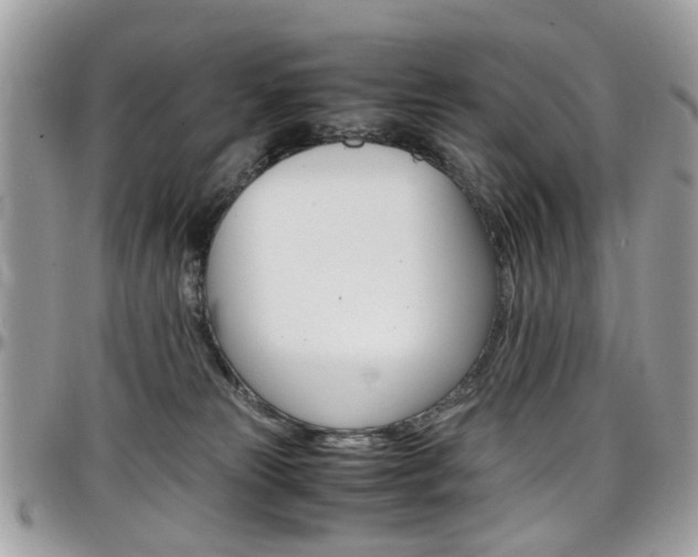 X0000097980181200803241050