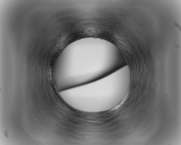 X0000097980182200803241050
