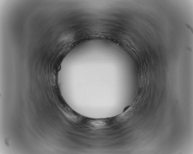 X0000097980183200803241050