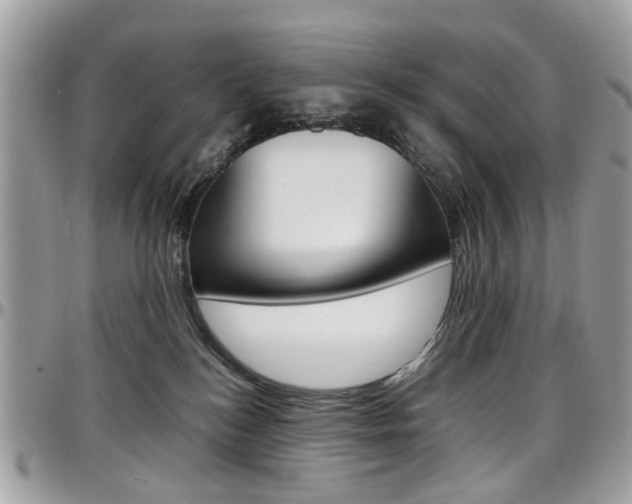 X0000097980184200803241050