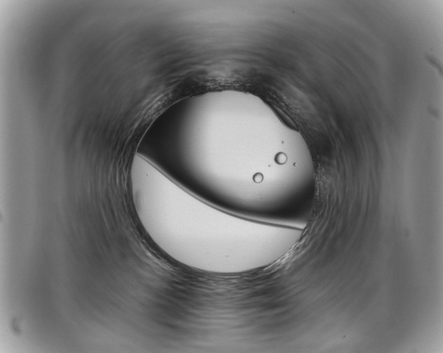 X0000097980188200803241050