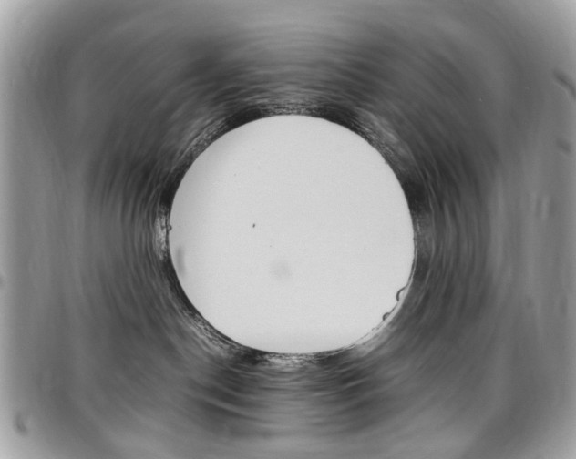 X0000097980190200803241050
