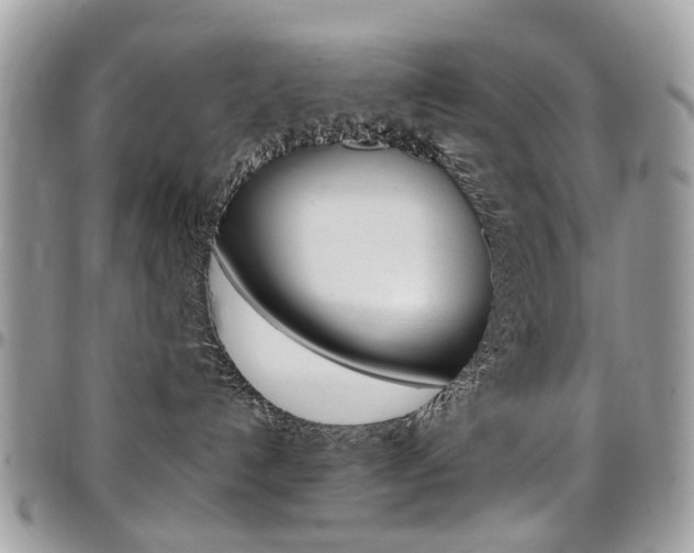 X0000097980192200803241050