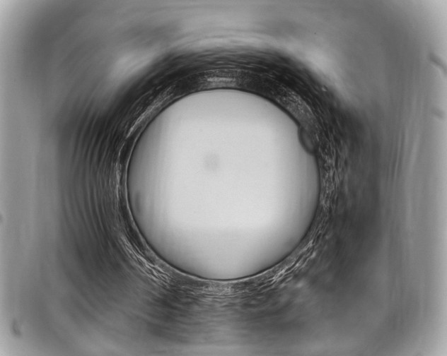 X0000097980194200803241049