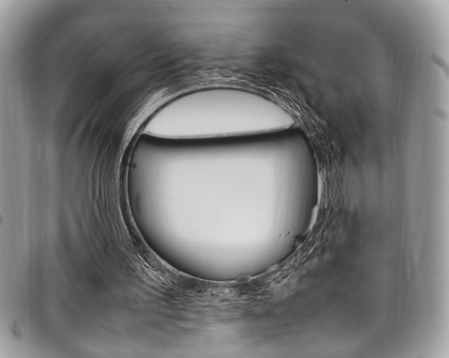 X0000097980195200803241049