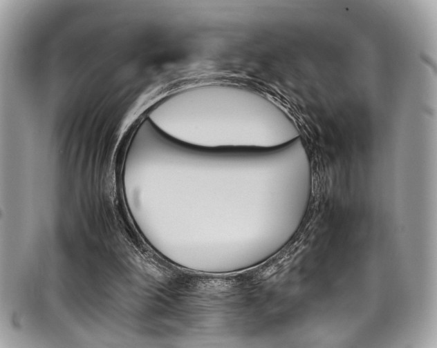 X0000097980198200803241049