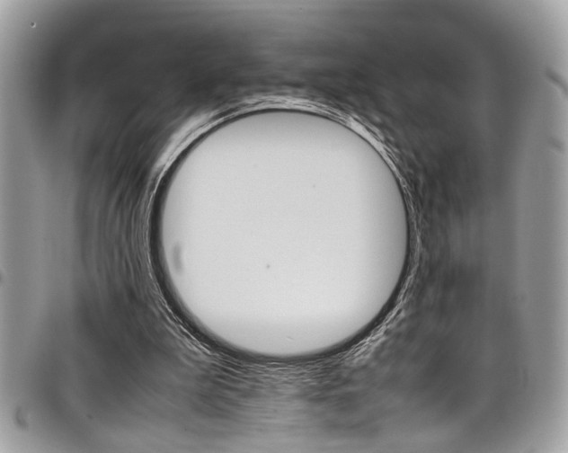 X0000097980199200803241049