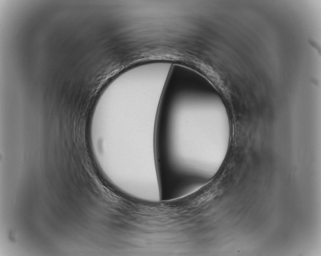 X0000097980201200803241049