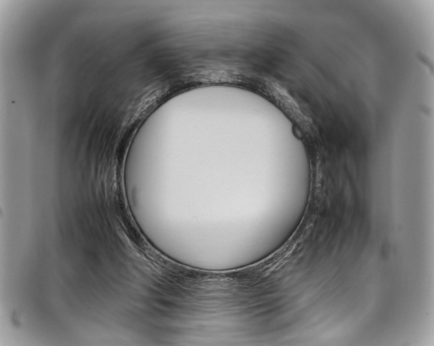 X0000097980202200803241049