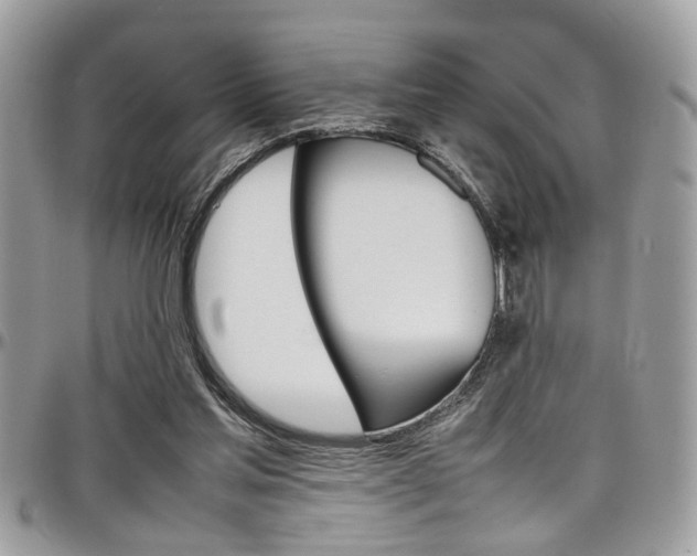 X0000097980205200803241049