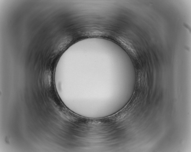 X0000097980206200803241049
