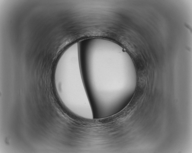 X0000097980207200803241049