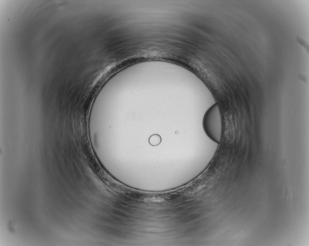 X0000097980208200803241049