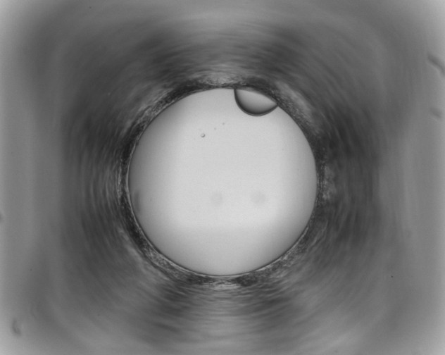 X0000097980210200803241049