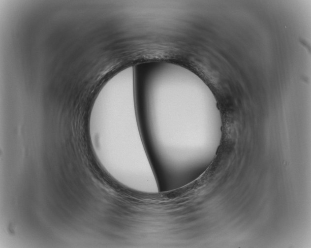X0000097980211200803241049