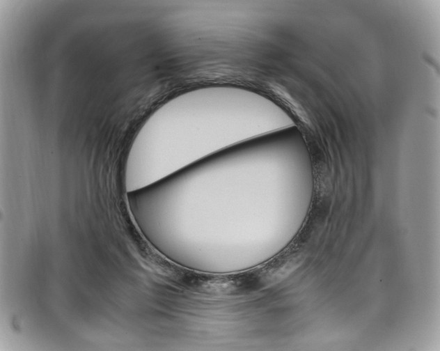 X0000097980213200803241049