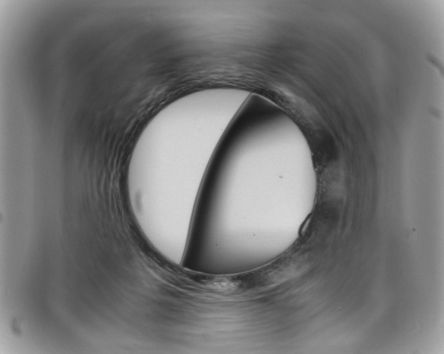 X0000097980217200803241049