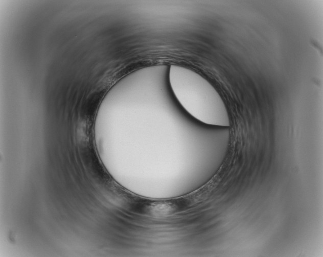 X0000097980218200803241049