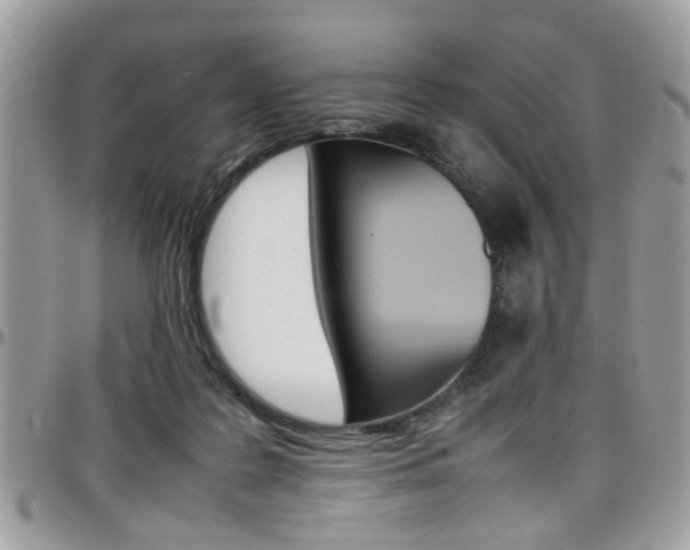X0000097980219200803241049