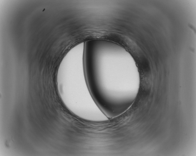 X0000097980221200803241049
