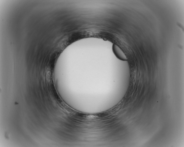 X0000097980222200803241049