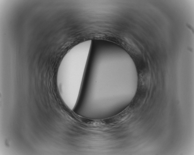 X0000097980223200803241049