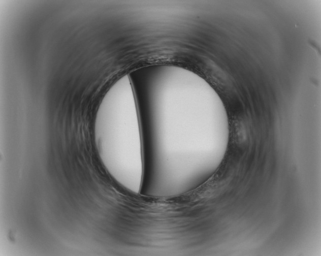 X0000097980224200803241049