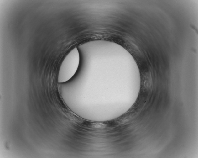 X0000097980226200803241049