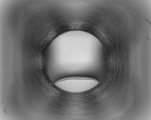 X0000097980228200803241049
