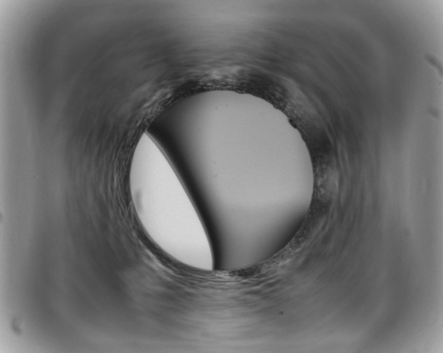 X0000097980231200803241049