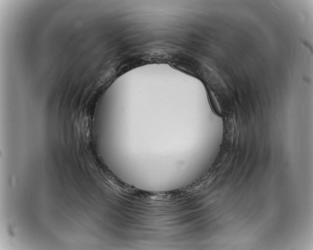 X0000097980232200803241049