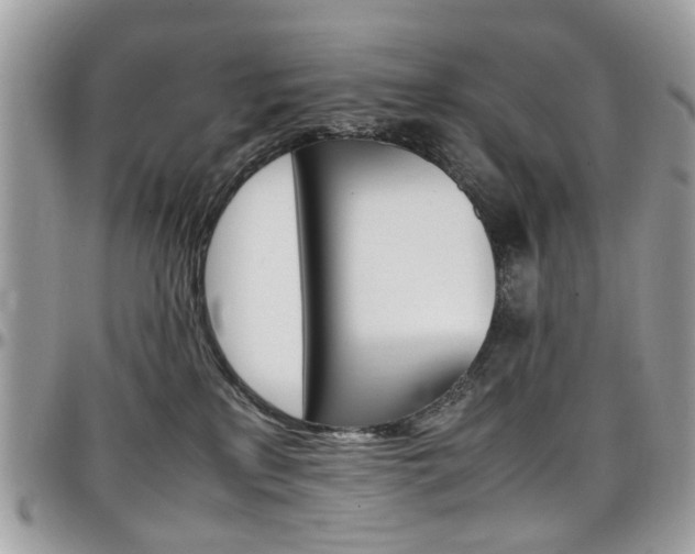 X0000097980233200803241049