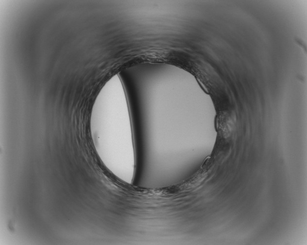 X0000097980235200803241049