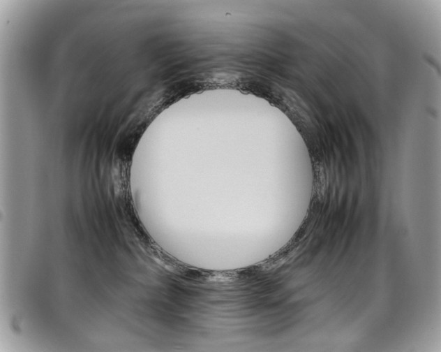 X0000097980236200803241049