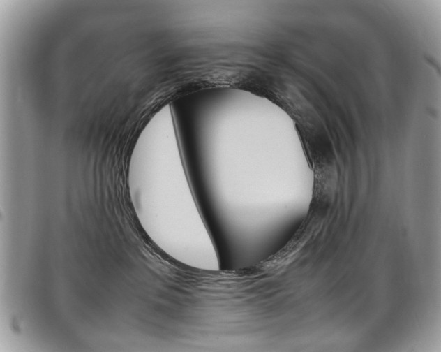 X0000097980237200803241049