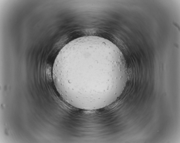 X0000097980238200803241049