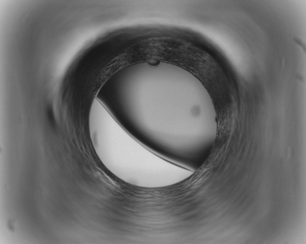 X0000097980239200803241049