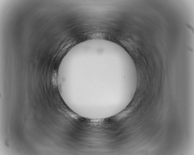 X0000097980240200803241049