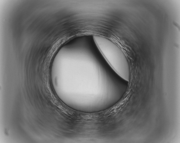 X0000097980241200803241048