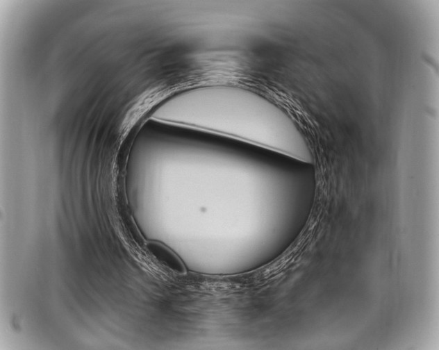 X0000097980242200803241048