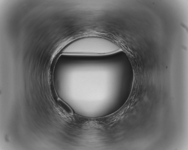 X0000097980244200803241048