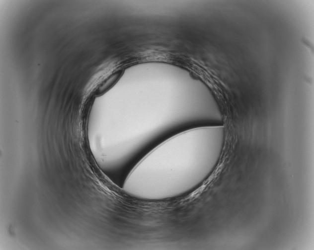 X0000097980245200803241048