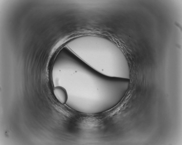 X0000097980246200803241048